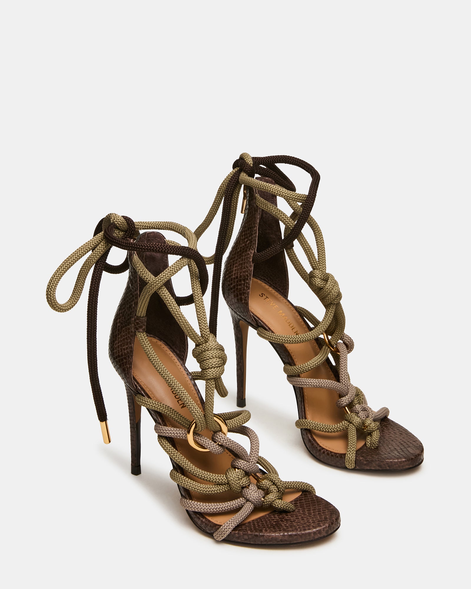 CATNYSS OLIVE - Image 2