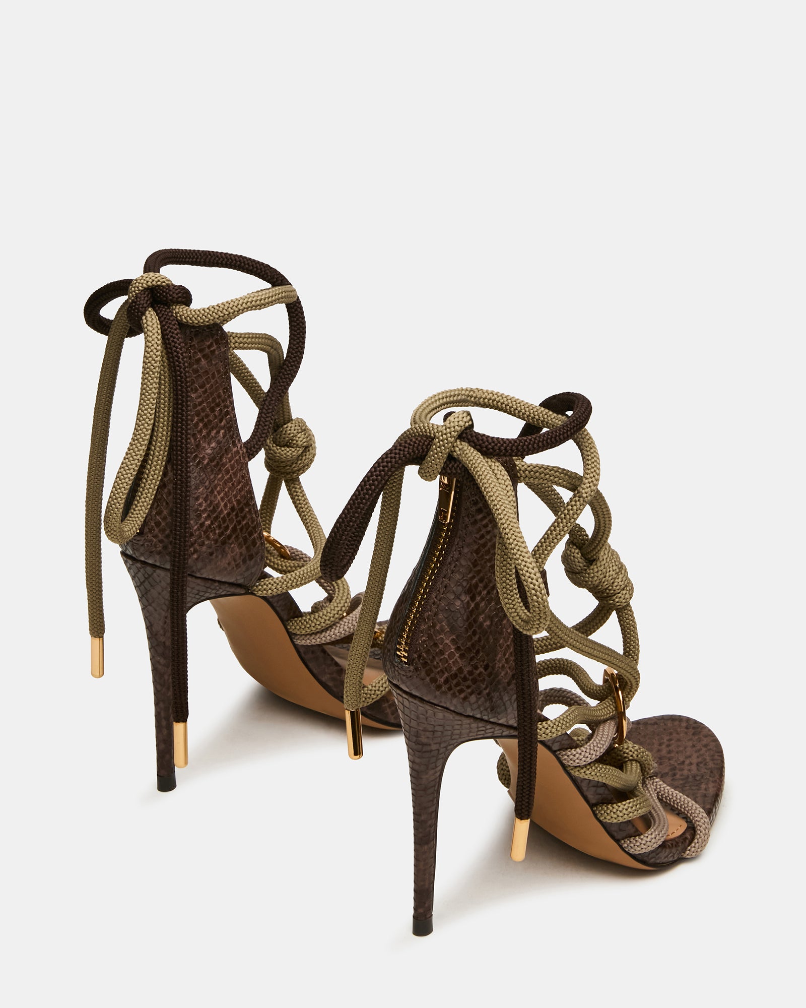 CATNYSS OLIVE - Image 5