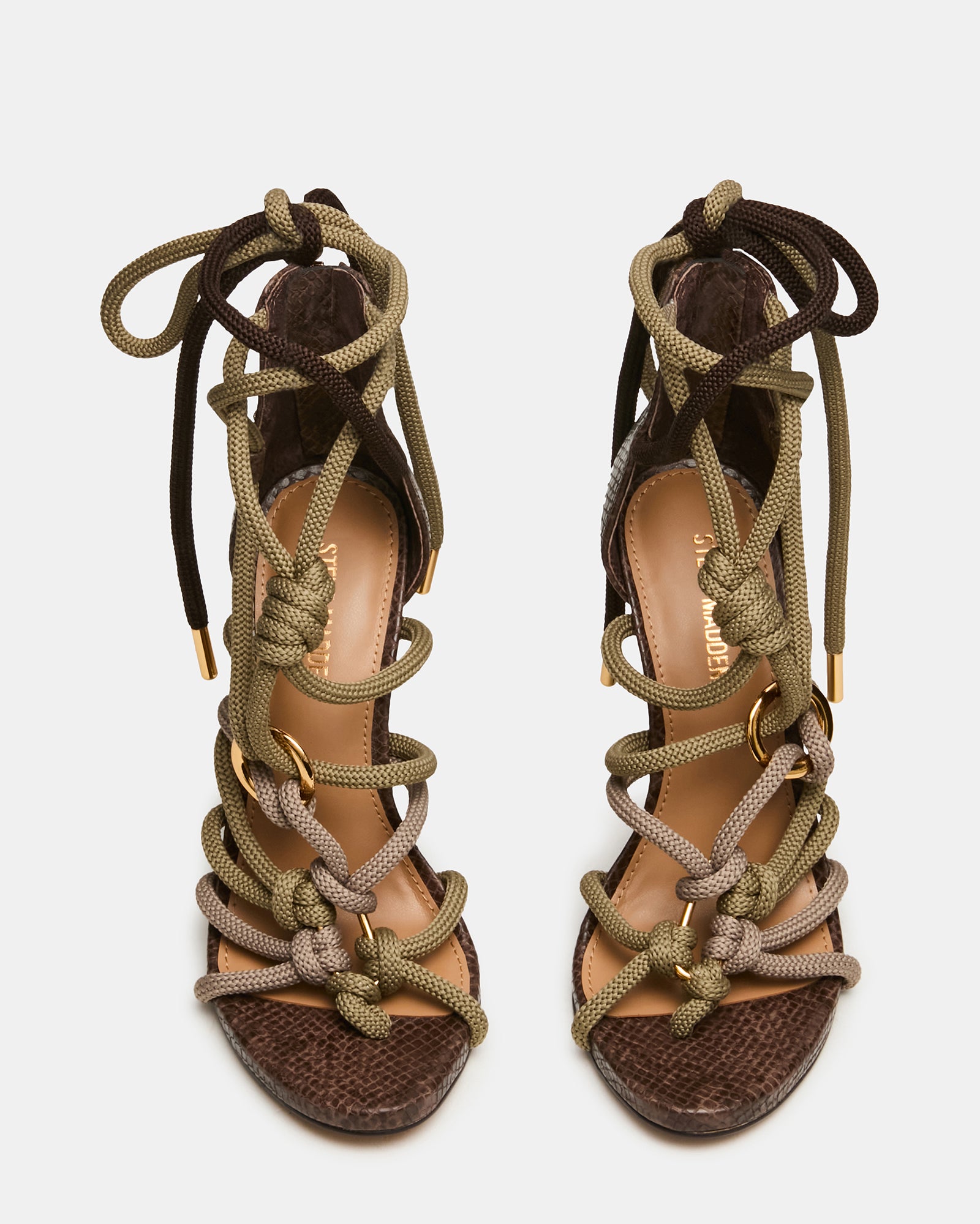 CATNYSS OLIVE - Image 4